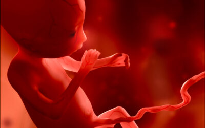 Gravidanza e Maternità: test prenatali